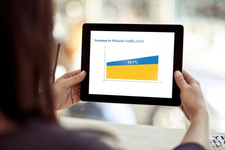 Solent Scales - Case Study